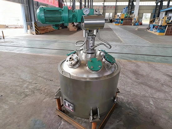 Reaktor berlapis kaca berpelapis stainless steel terintegrasi dengan rangka segel mekanis